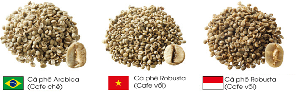 Học bí quyết rang xay cà phê