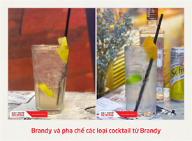 Brandy và pha chế các loại cocktail từ Brandy
