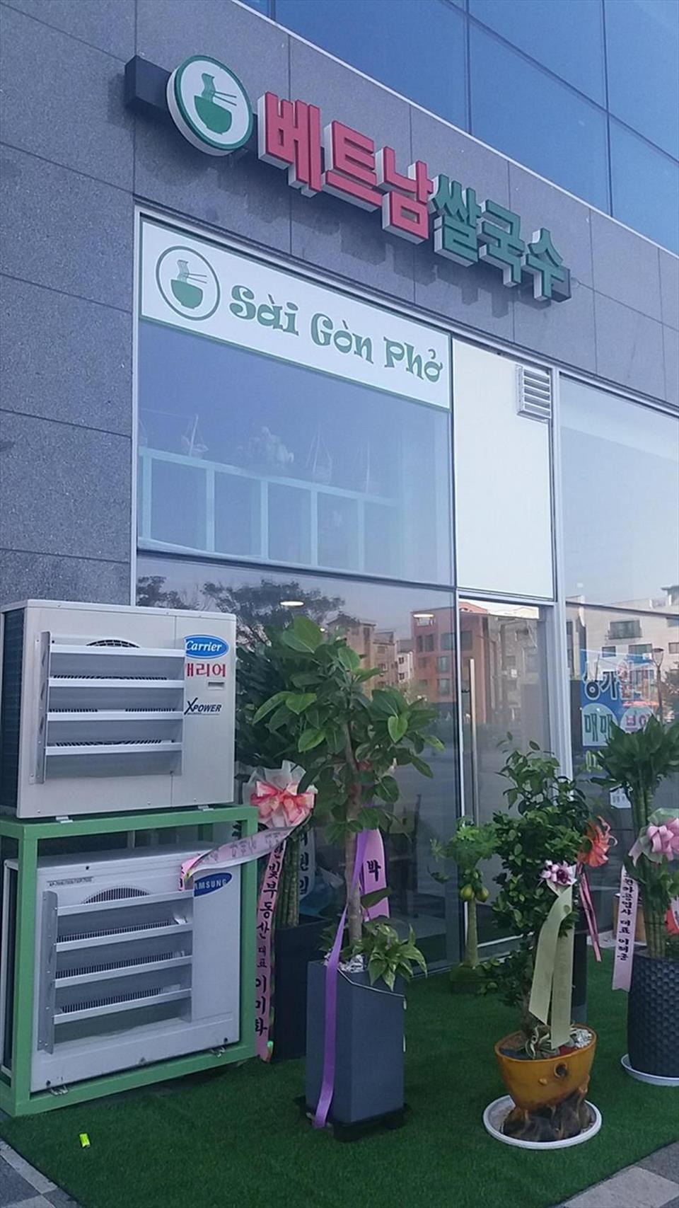 Giới thiệu Thầy Y