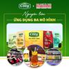 NGUYÊN LIỆU ỨNG DỤNG MÔ HÌNH
